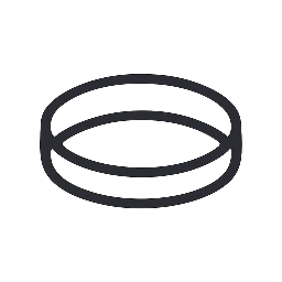 Ivonne & Ralph Hochzeit 2026